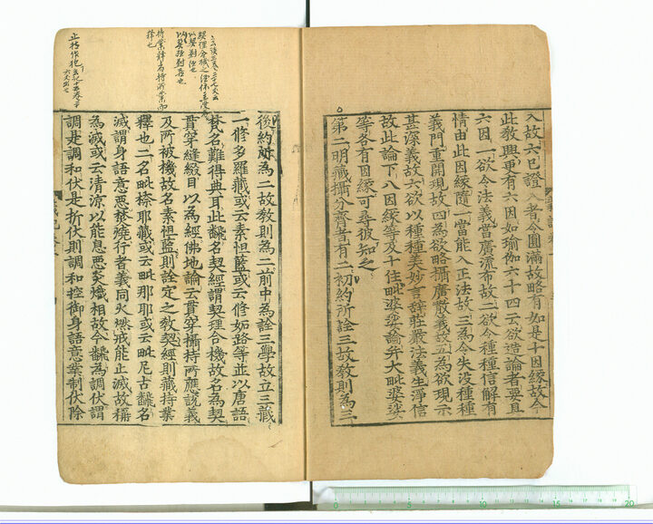 보물 대승기신론의기 권상,하(2010년 국보,보물 지정보고서)