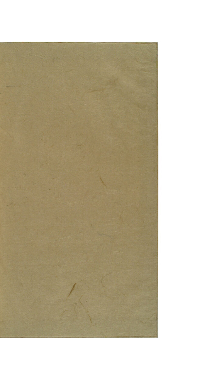 보물 대승기신론소(2011년 국보,보물 지정보고서)
