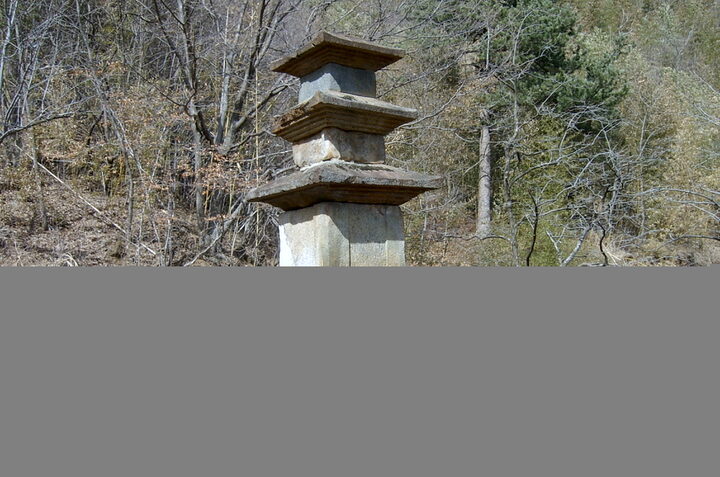 산청 대포리 삼층석탑