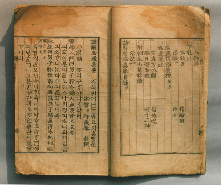 보물 언해태산집요
